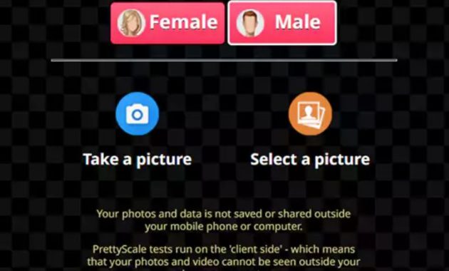 prettyscale gender